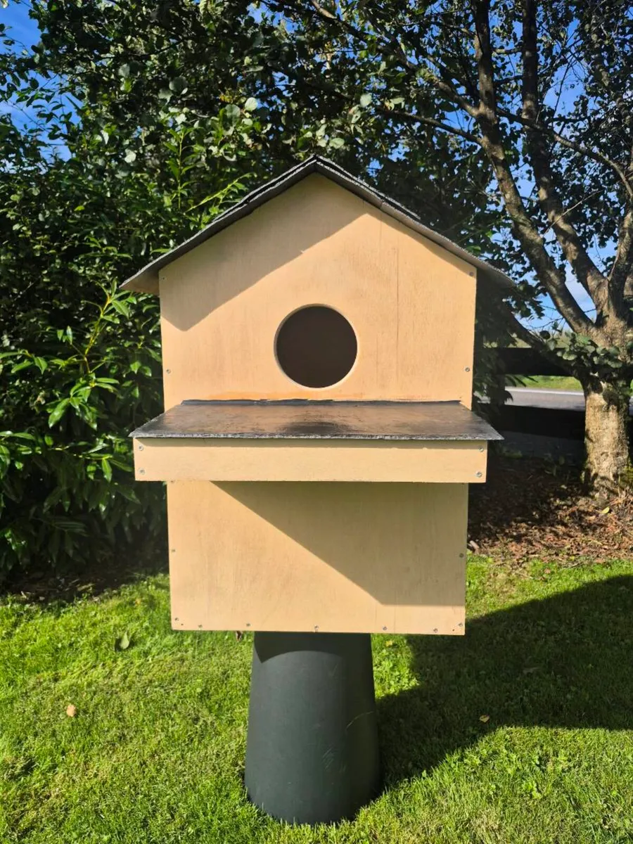 Bespoke Barn Owl Box - Image 1