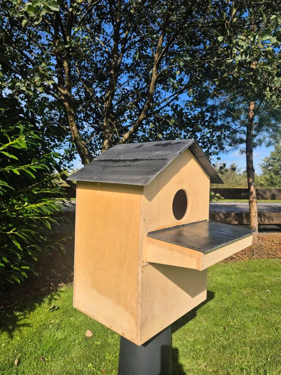 Bespoke Barn Owl Box - Image 2