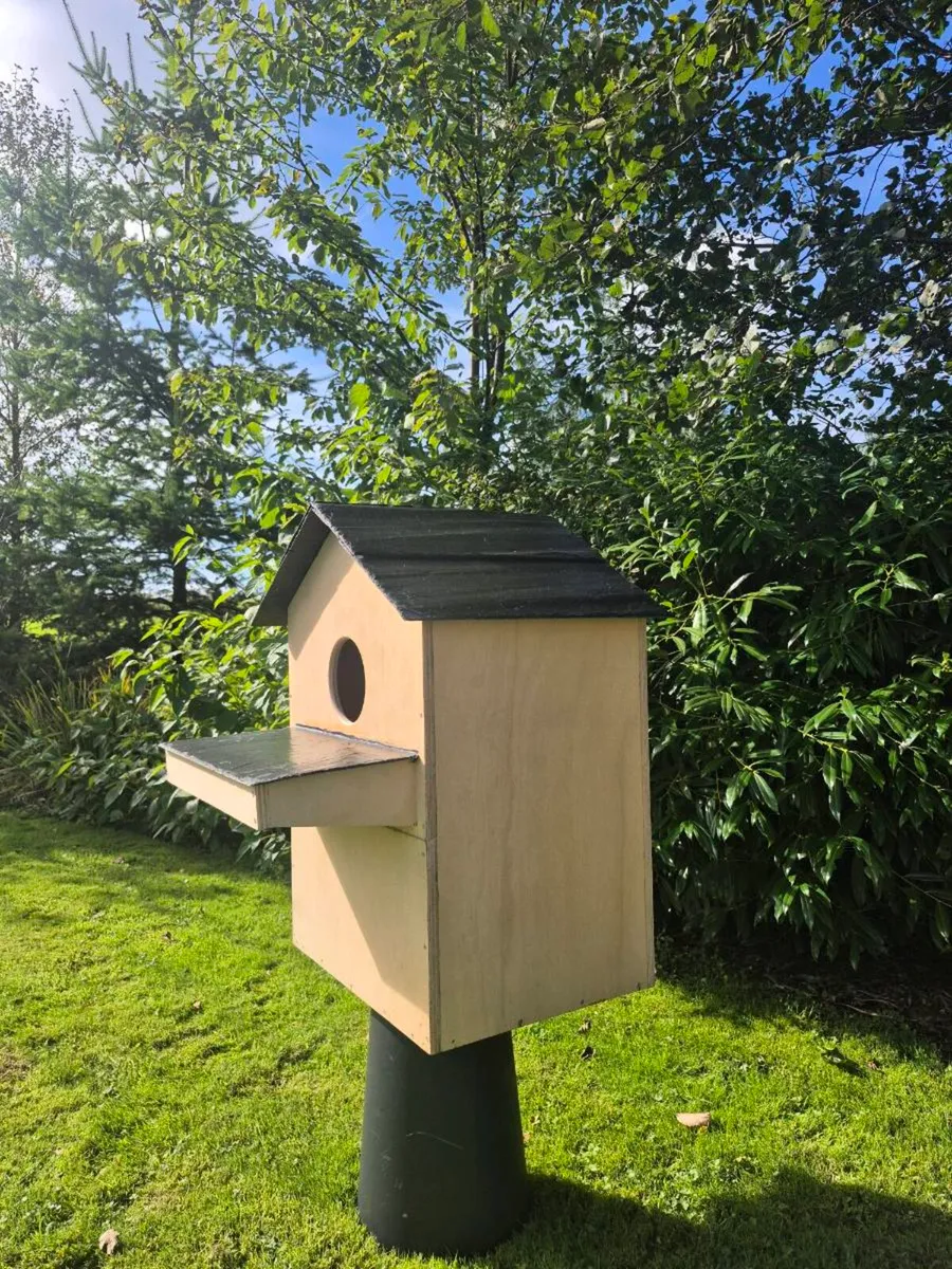Bespoke Barn Owl Box - Image 3