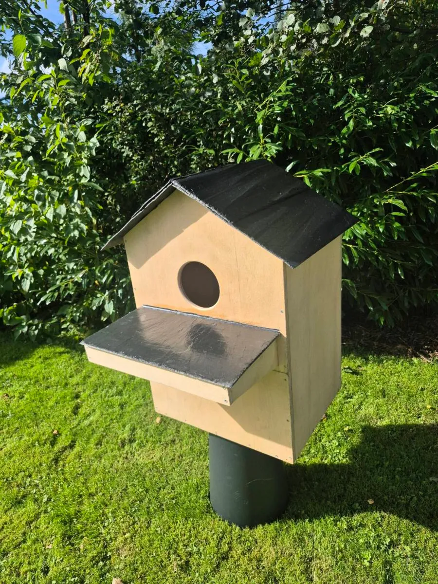 Bespoke Barn Owl Box - Image 4