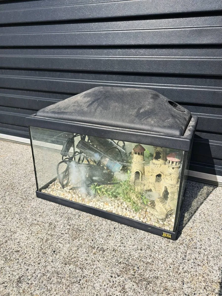 Fish Tank