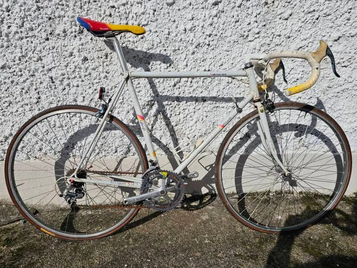 Raleigh Delta - Image 1