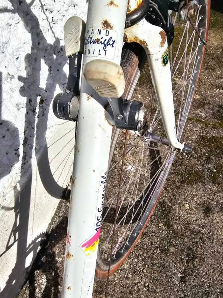 Raleigh Delta - Image 3