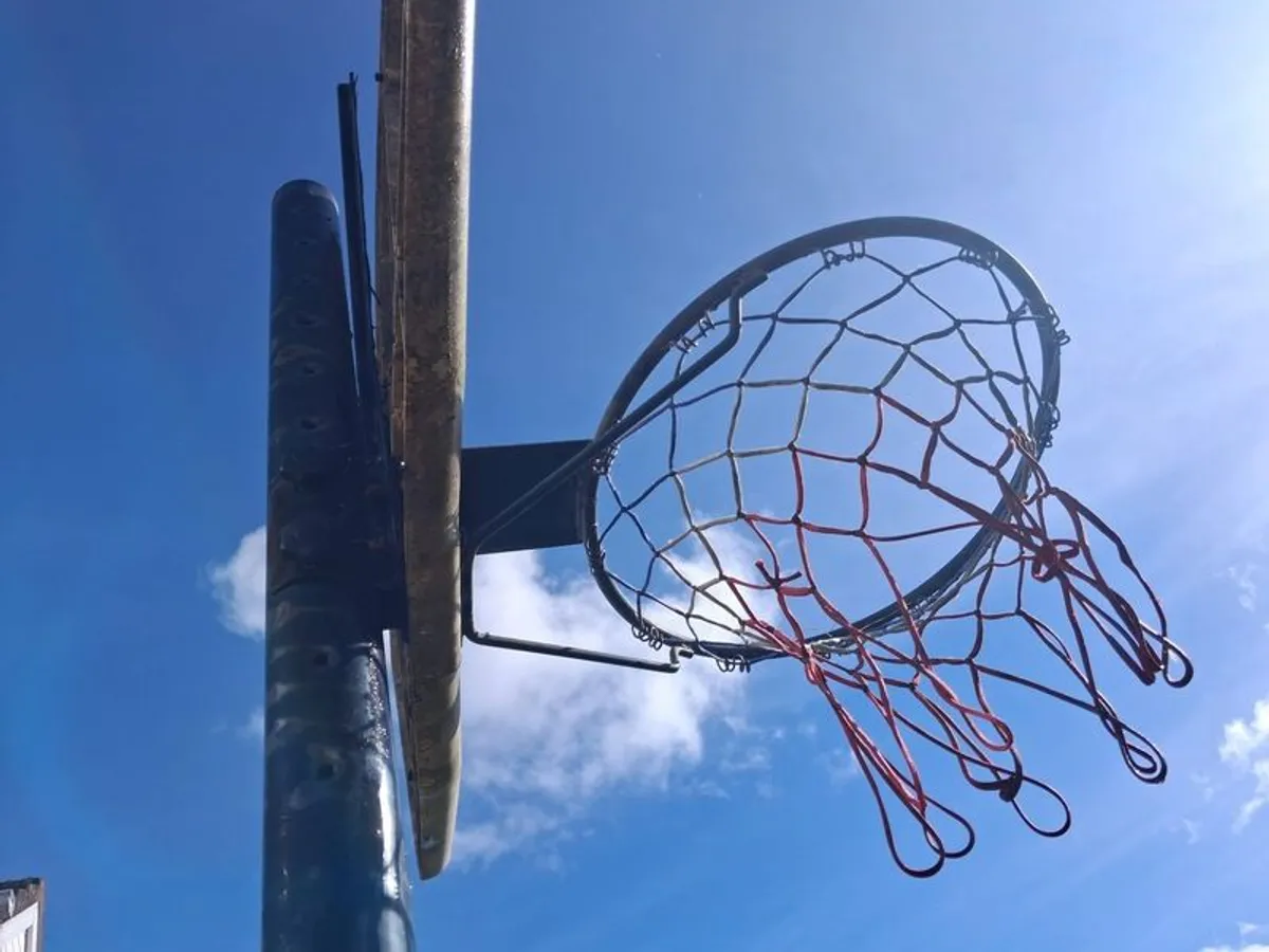 Basketball hoop Limerick - Image 3