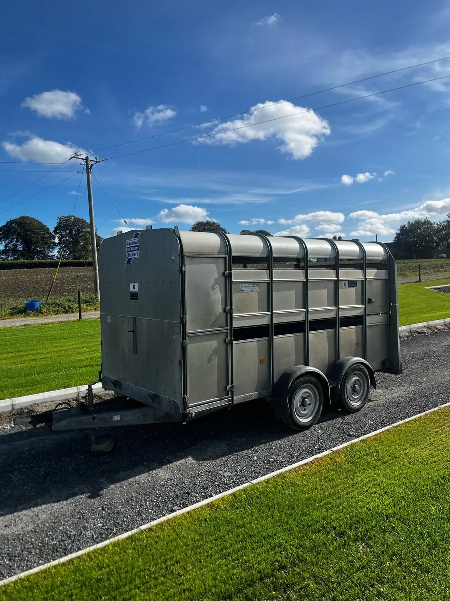IFOR WILLIAMS 12x6 C/W Decks - Image 4
