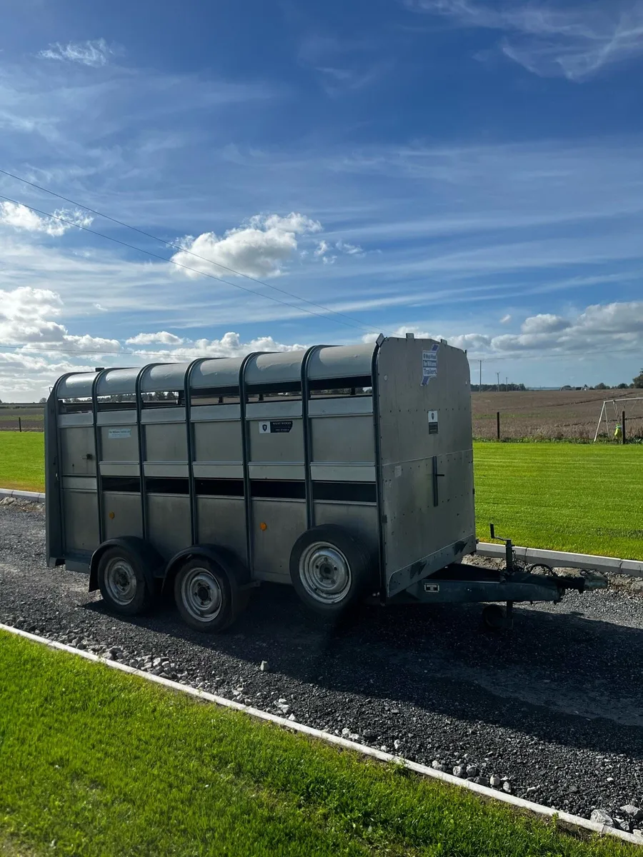 IFOR WILLIAMS 12x6 C/W Decks - Image 1