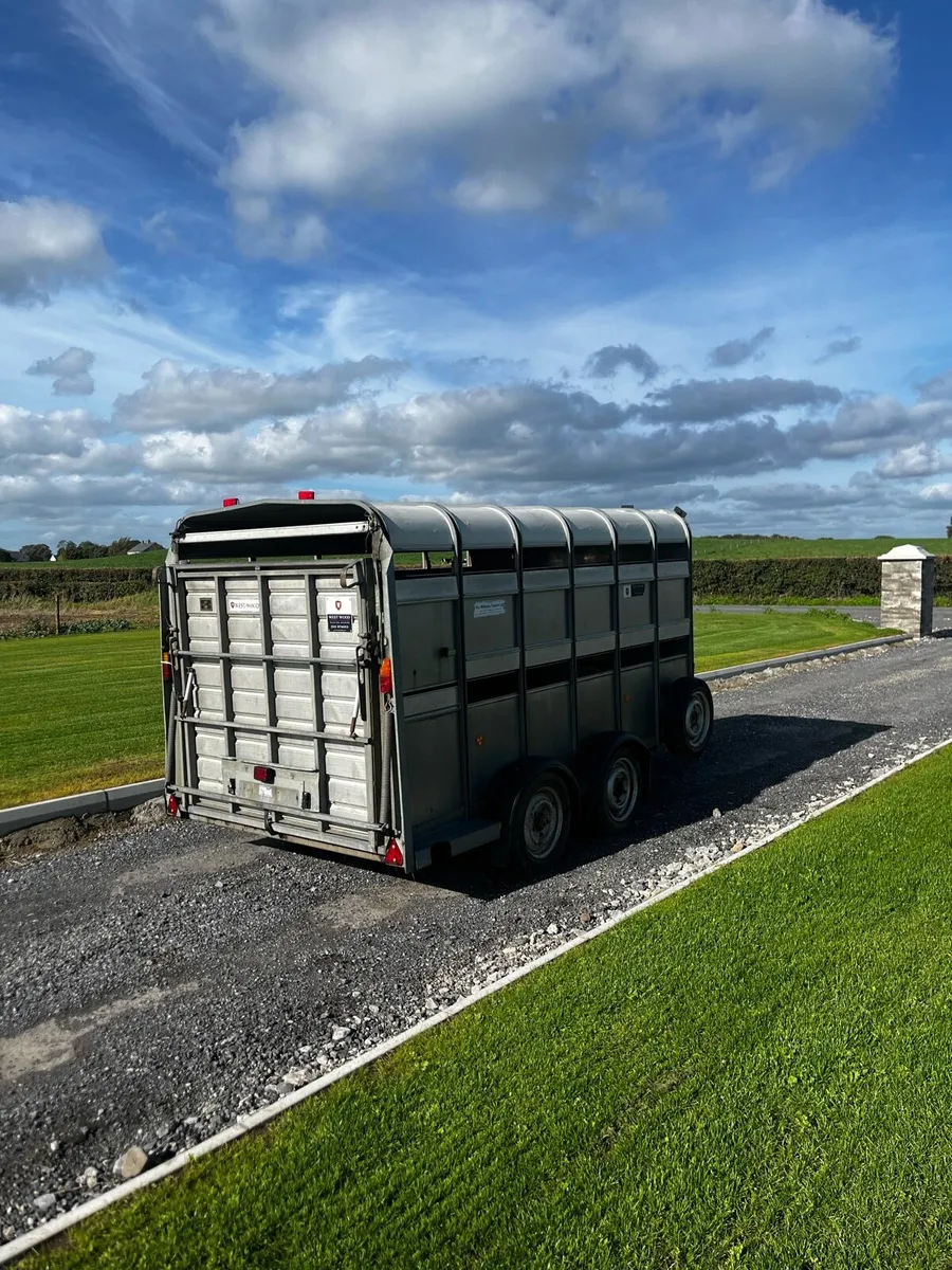 IFOR WILLIAMS 12x6 C/W Decks - Image 2