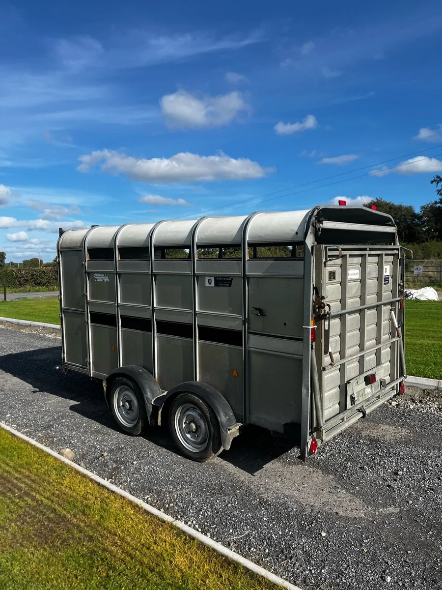 IFOR WILLIAMS 12x6 C/W Decks - Image 3