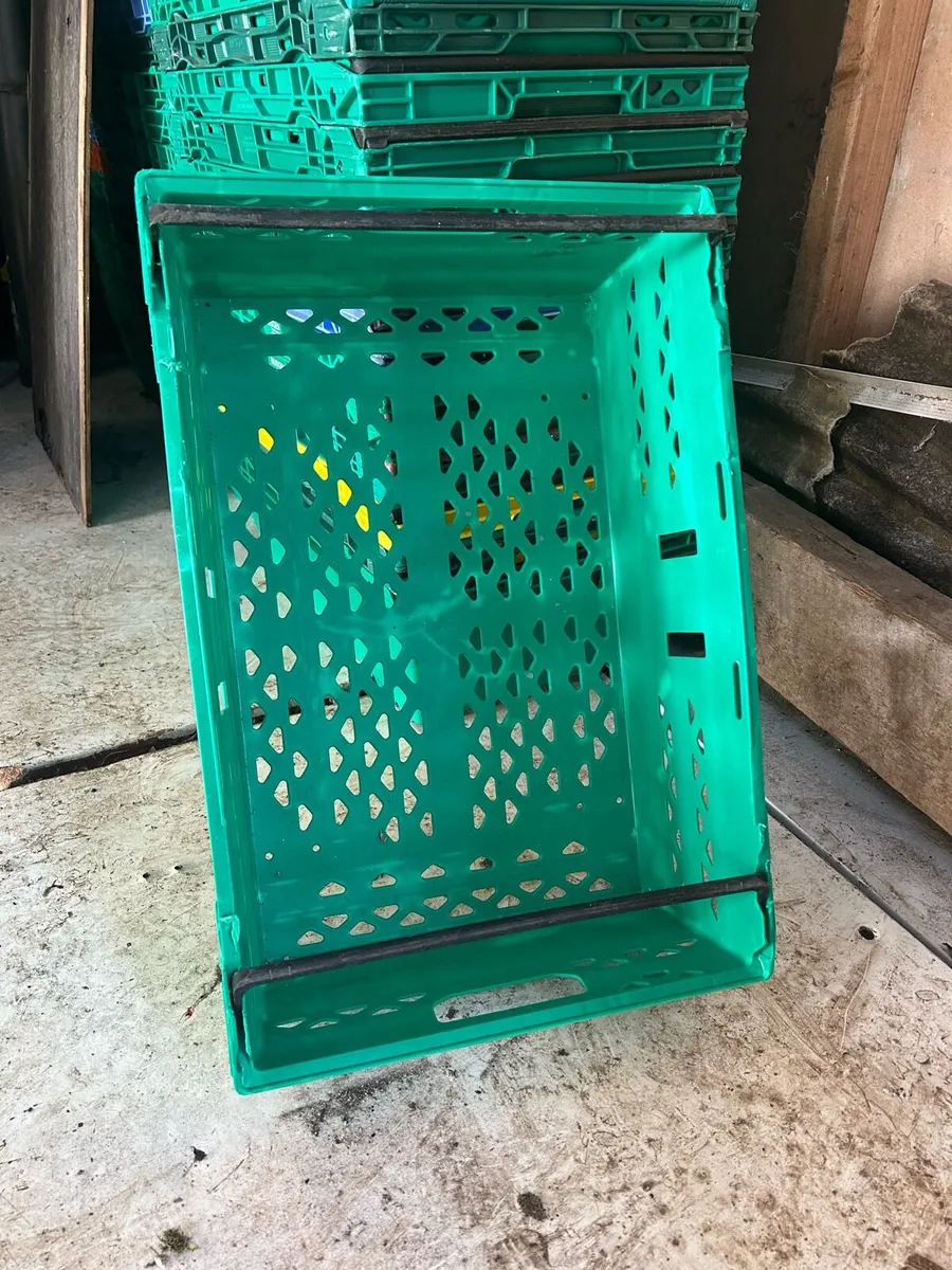 Plastic stackable crates - Image 2