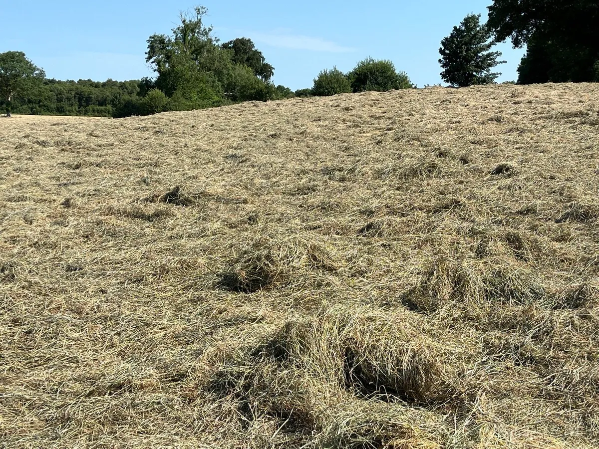 Haylage - Image 2