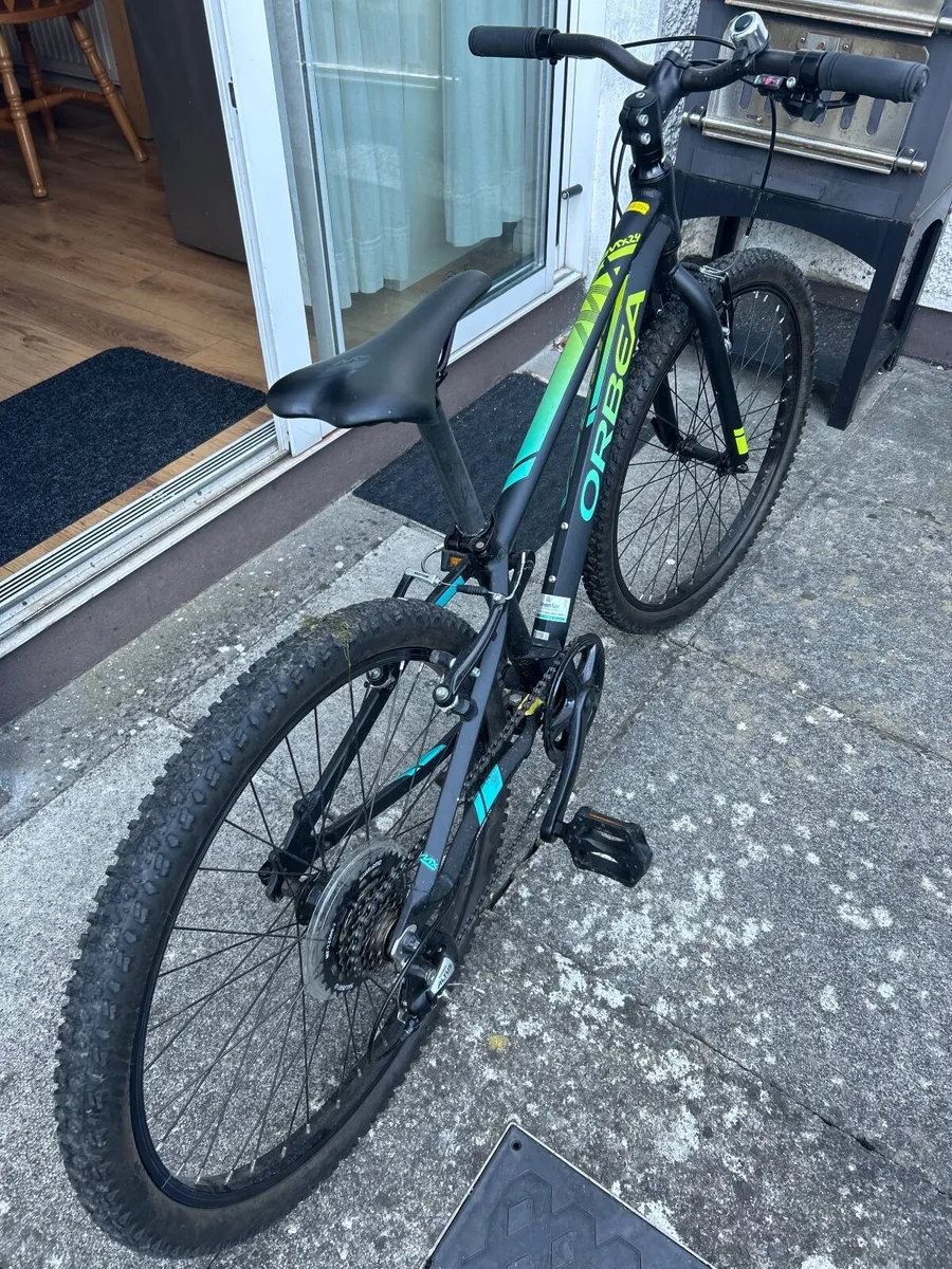 Orbea MX 24 DIRT 2019 black pistachio - Image 1