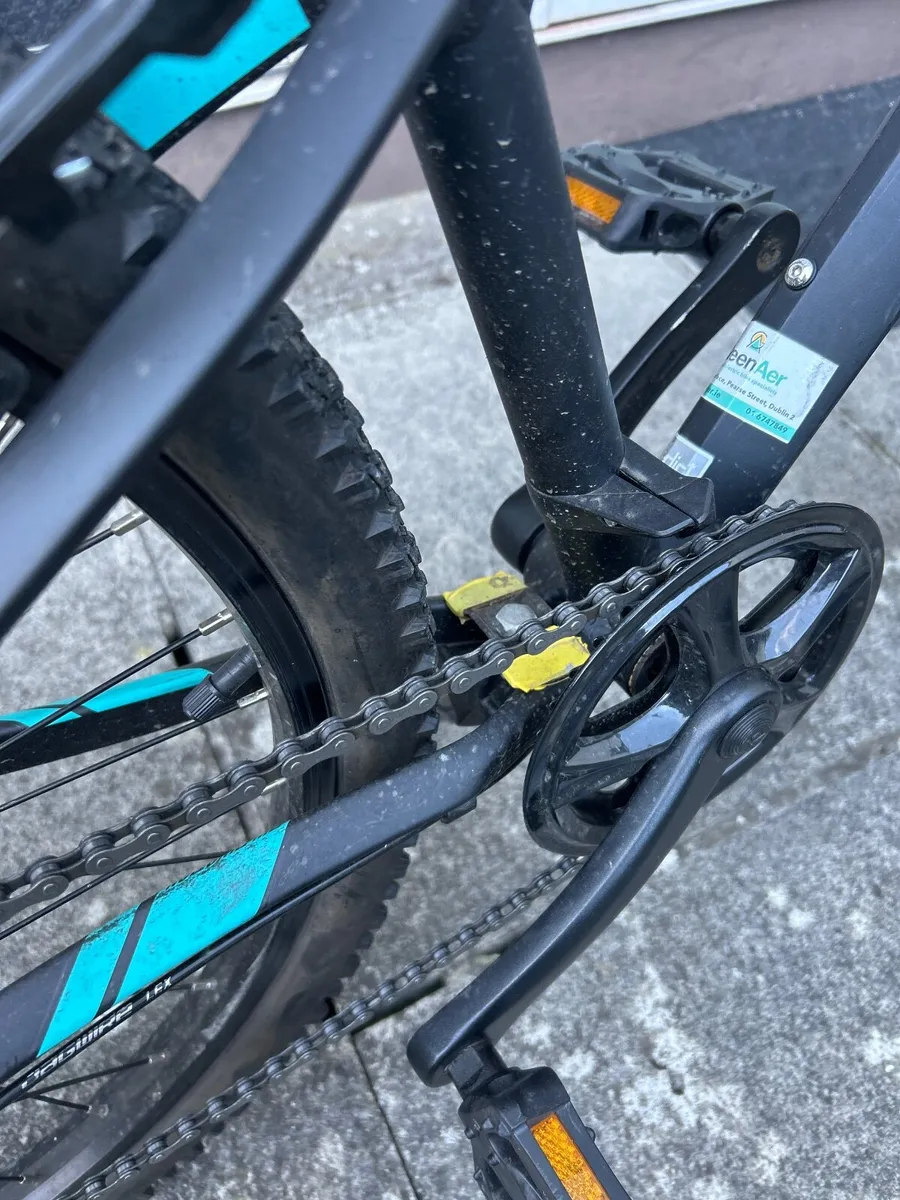 Orbea MX 24 DIRT 2019 black pistachio - Image 3