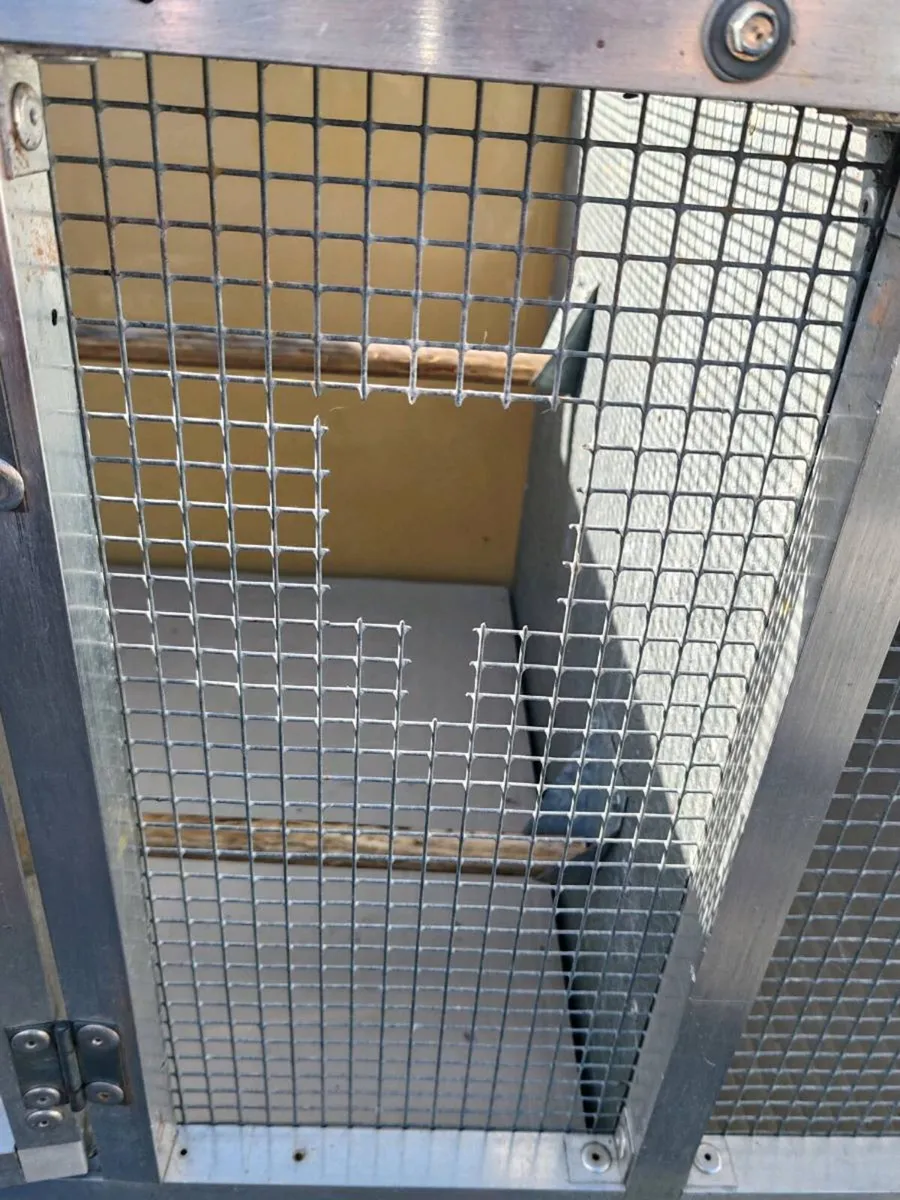 9 Cages - Image 4