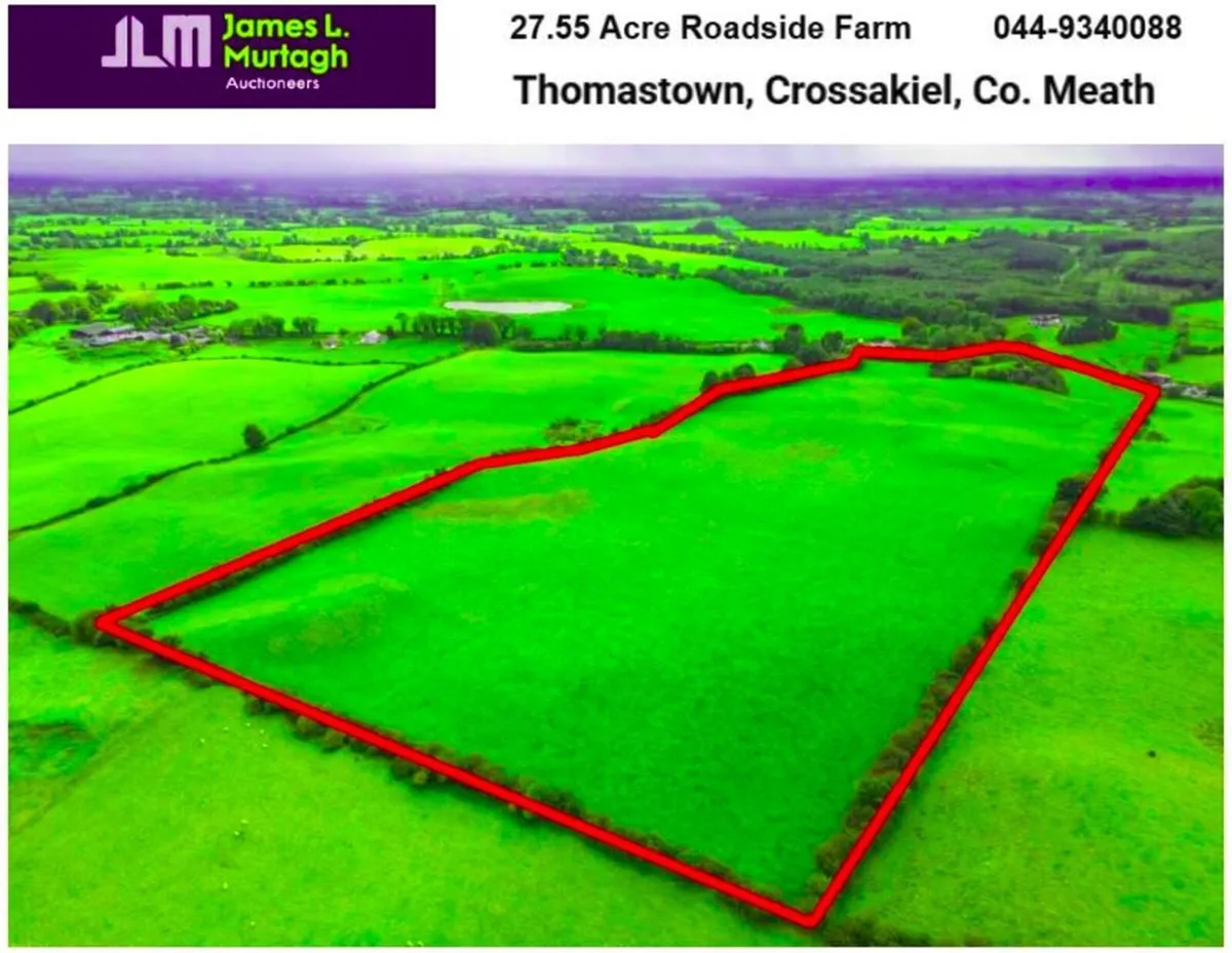 27.55 Acre Farm, Thomastown, Crossakiel, Co. Meath - Image 1