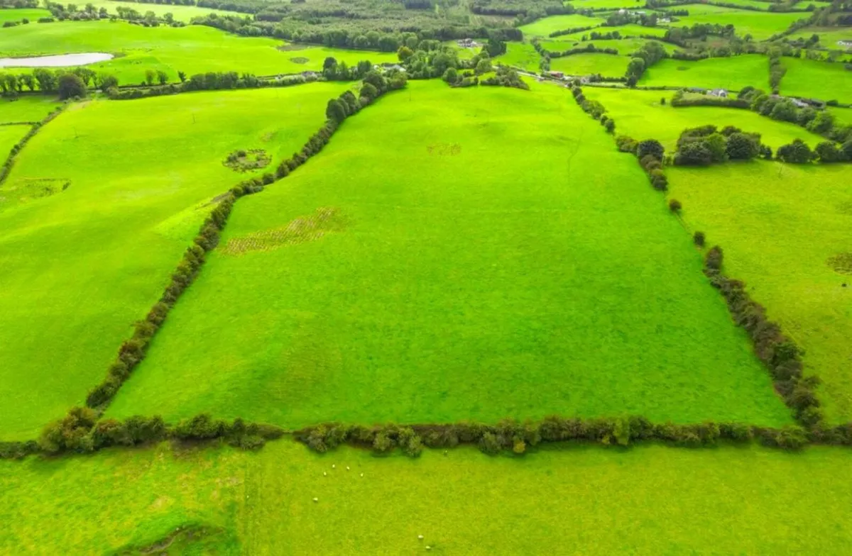 27.55 Acre Farm, Thomastown, Crossakiel, Co. Meath - Image 3