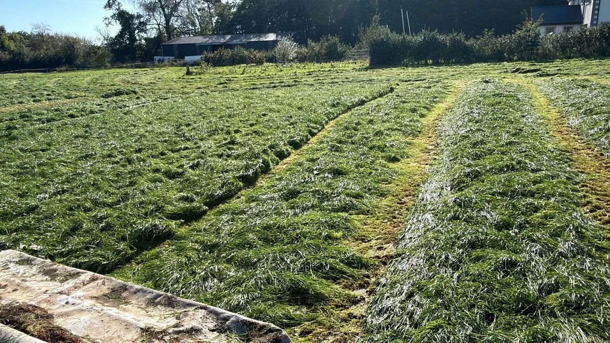 Round bale silage
