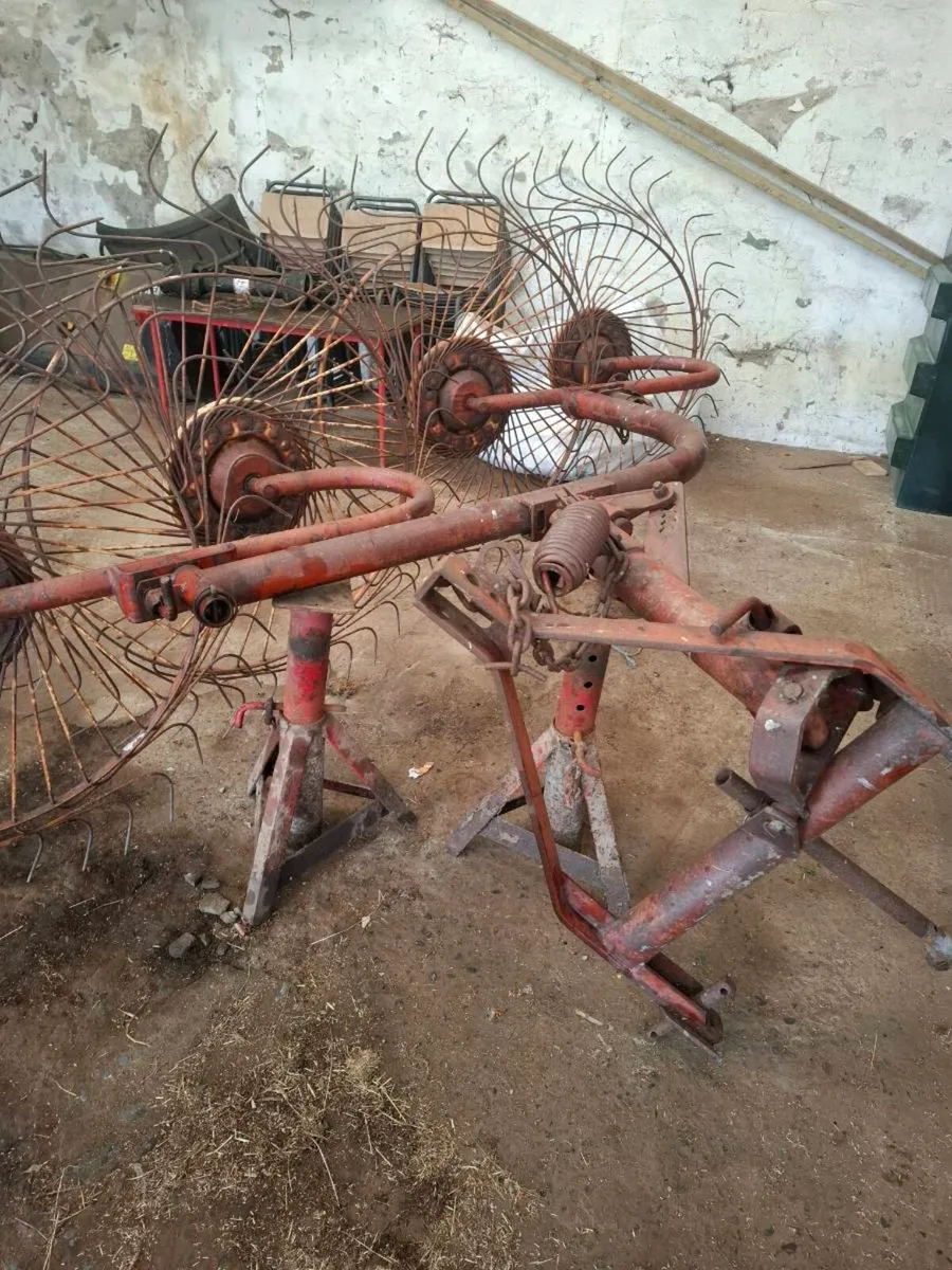 Rake - Image 2