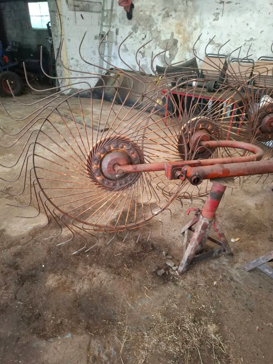 Rake - Image 3