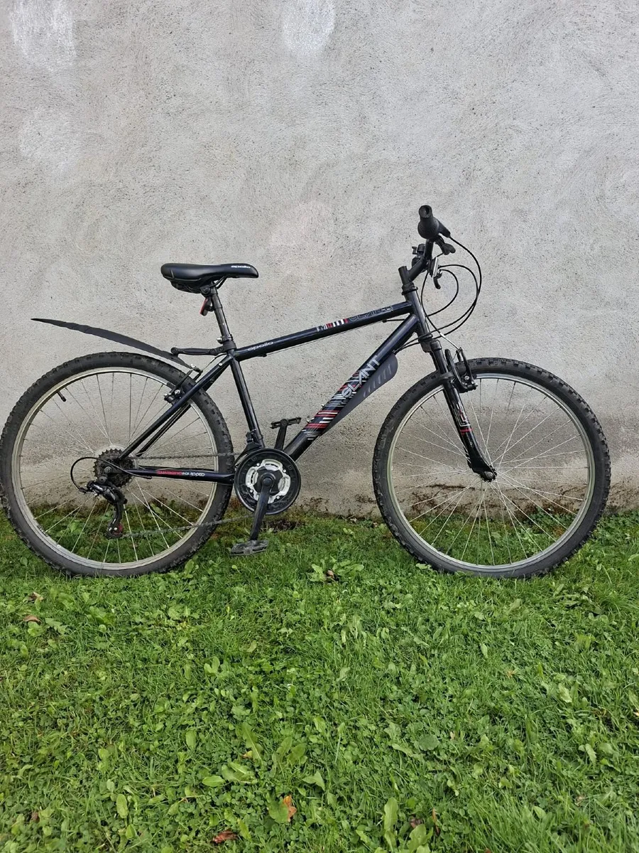 Adult bike - Image 2