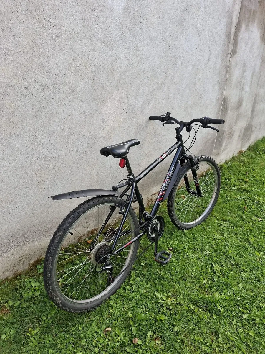 Adult bike - Image 3