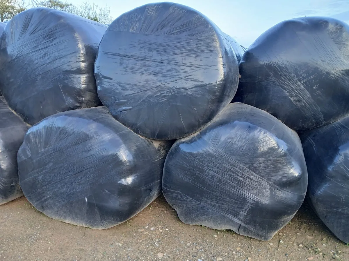 Silage
