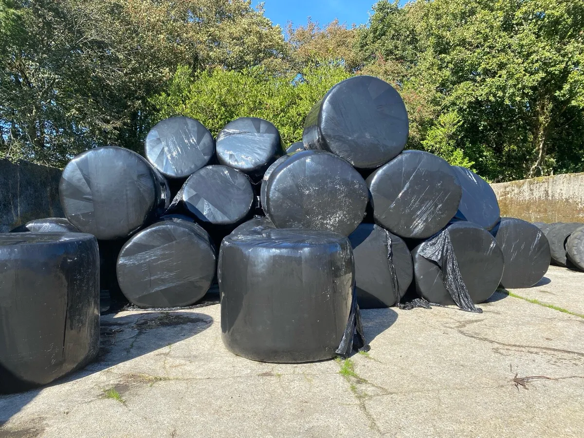 Silage bales