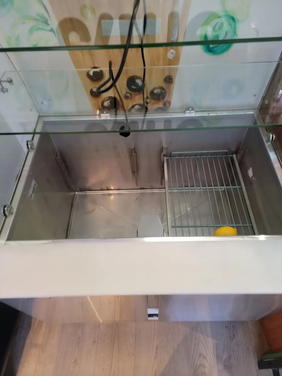 Commercial Stainless Steel 2-Door Salad / Topping - Image 4