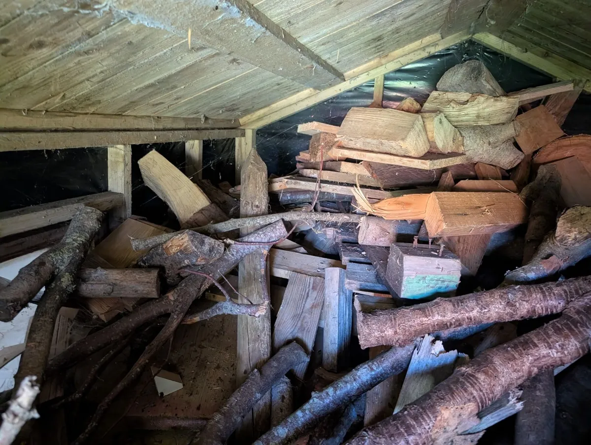 Firewood - Image 1