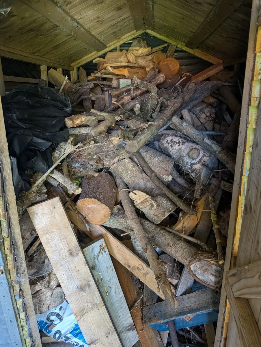 Firewood - Image 2