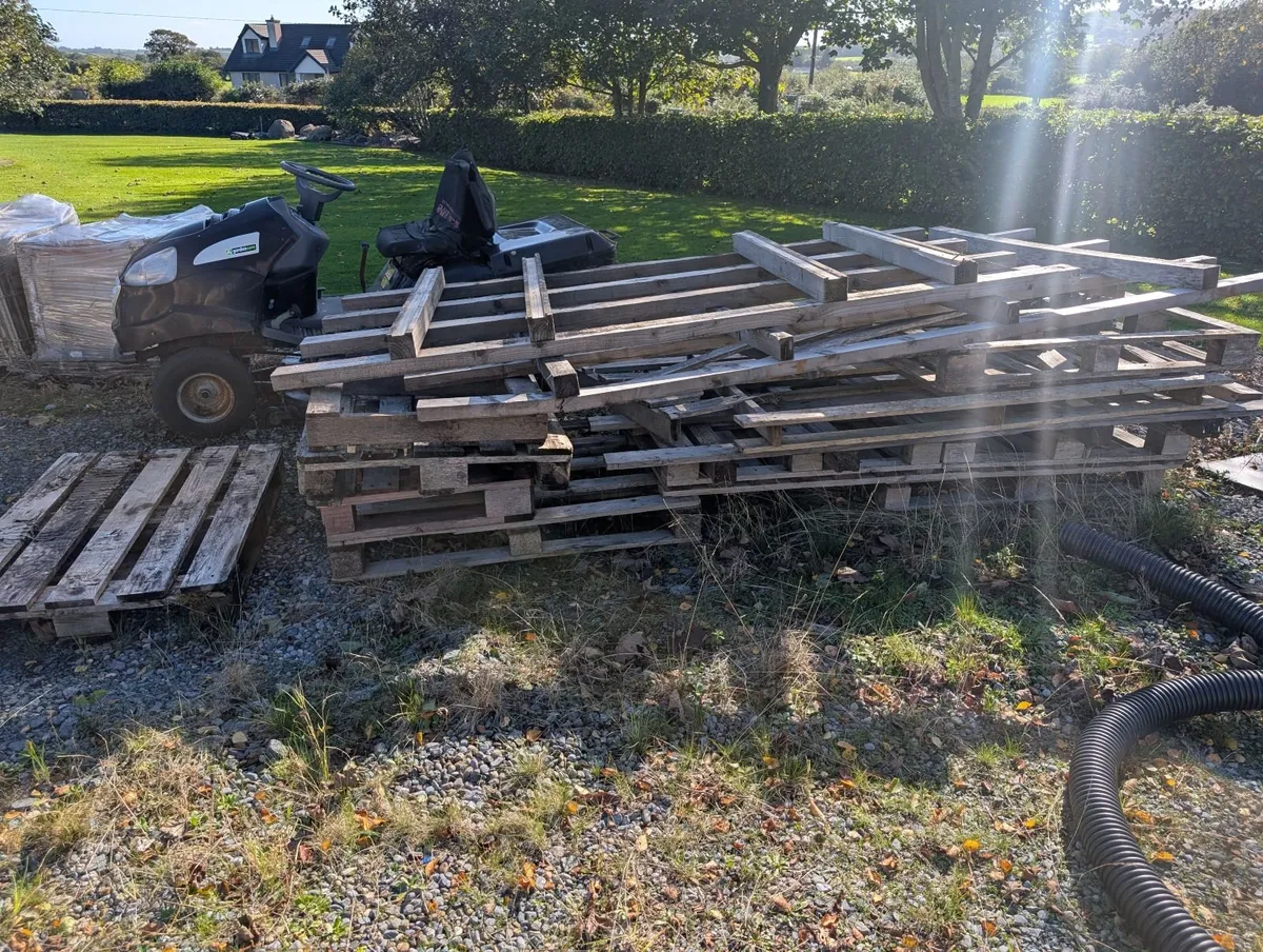 Firewood - Image 3
