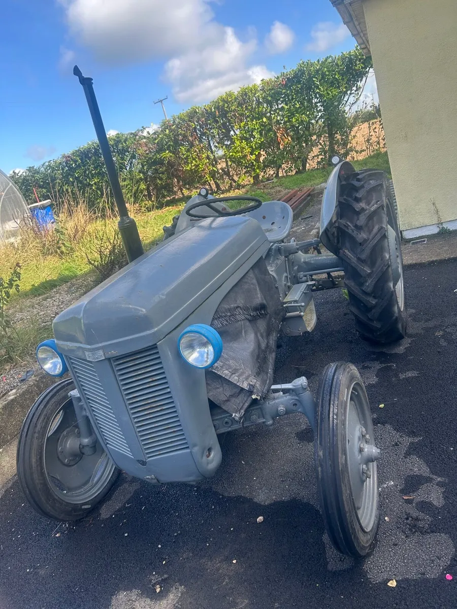 1950 FERGUSON 20 Petrol - Image 1