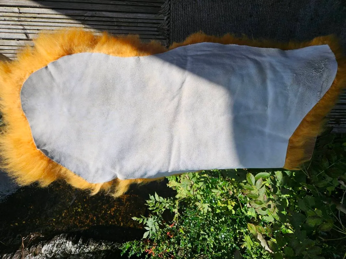 New Soft Yellow Genuine Icelandic Sheepskin Rug - Image 2