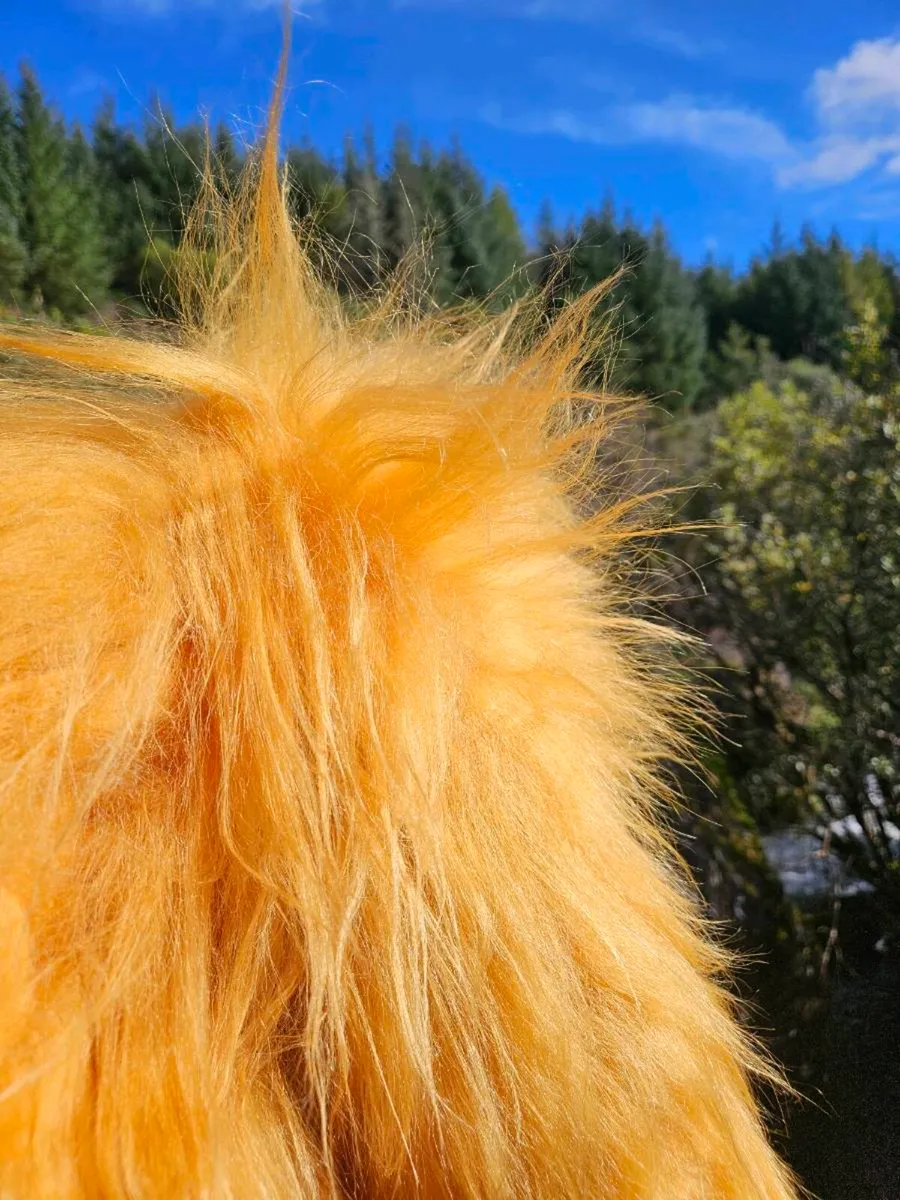 New Soft Yellow Genuine Icelandic Sheepskin Rug - Image 3