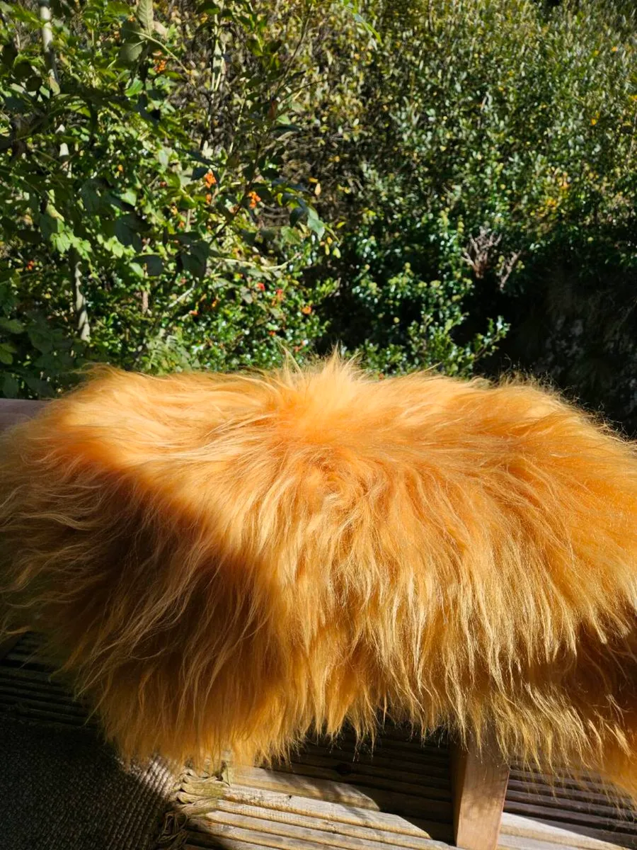 New Soft Yellow Genuine Icelandic Sheepskin Rug - Image 4