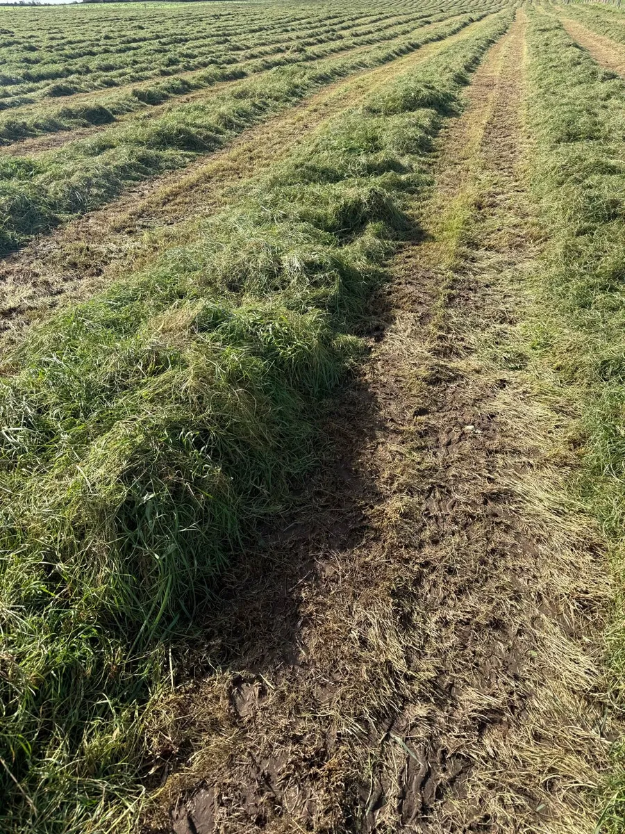 Silage bales + Hay bales - Image 3