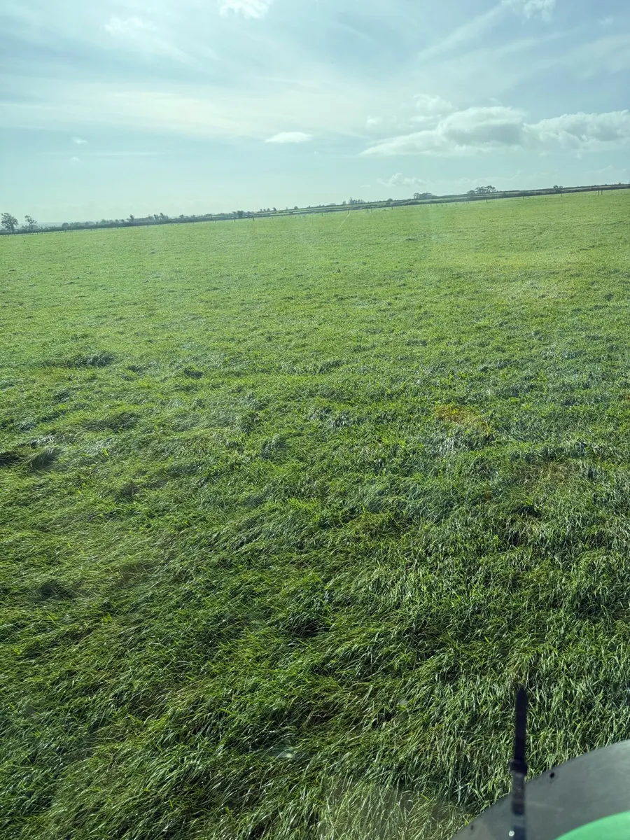 Silage bales + Hay bales - Image 4