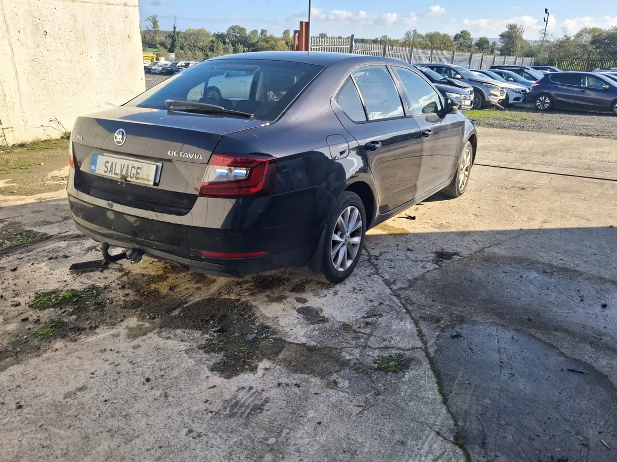 2018 skoda octavia - Image 2