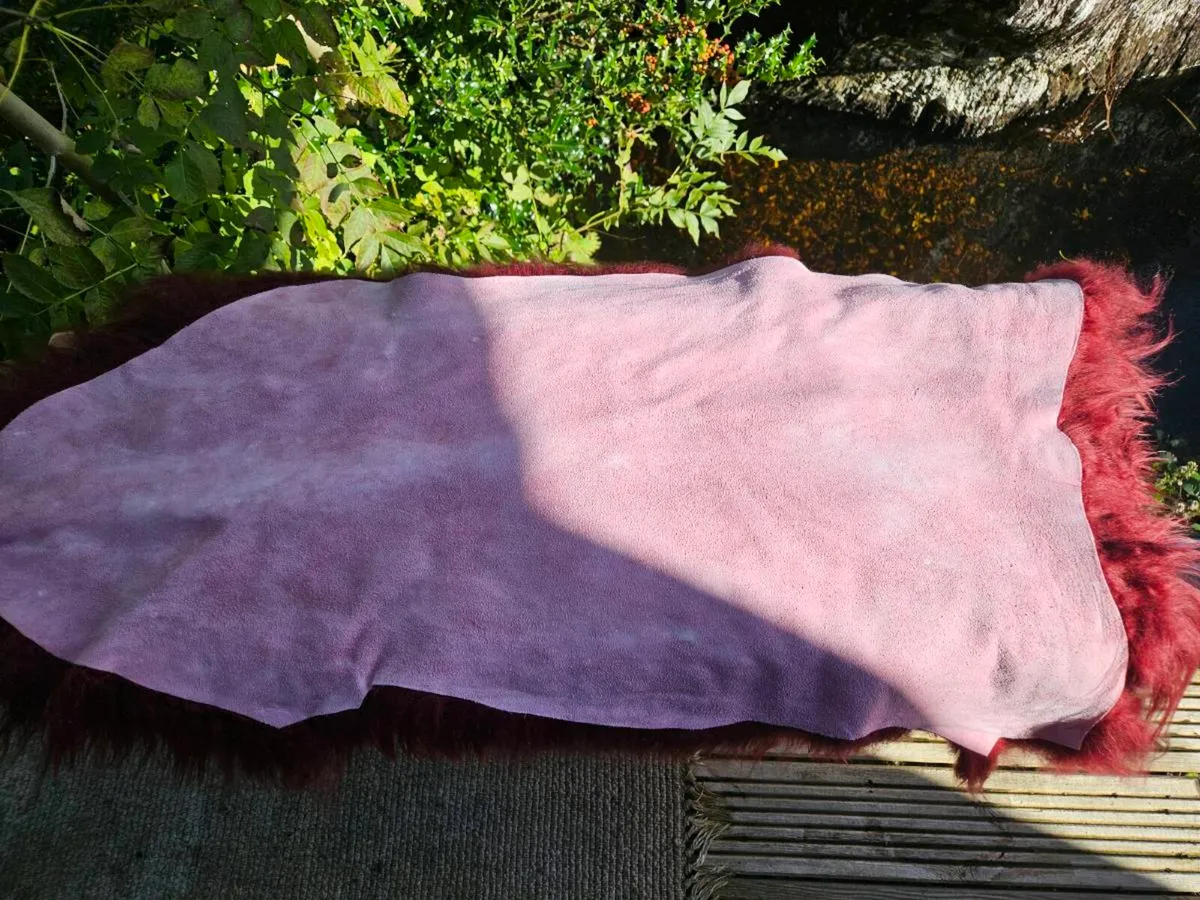 New Soft Rich Burgandy Genuine Icelandic Sheepskin - Image 3