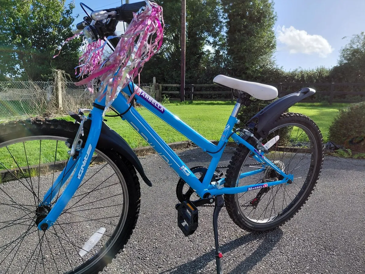 Girls Bike age 8 -13 - Image 2
