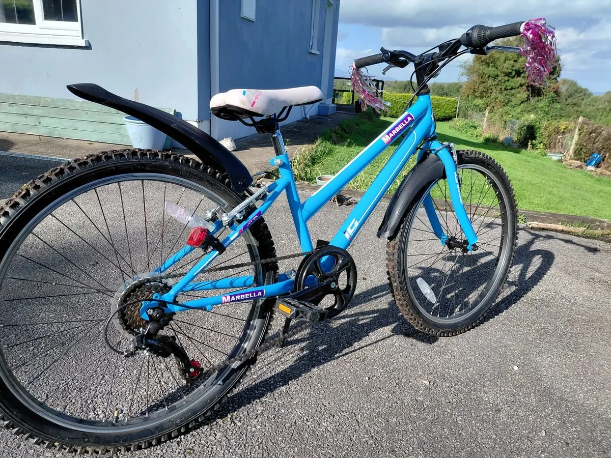 Girls Bike age 8 -13 - Image 3