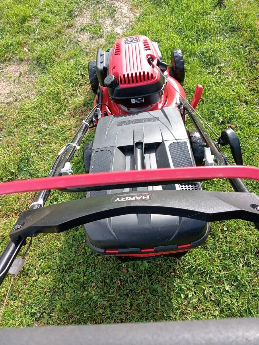 Harry lawnmower - Image 2