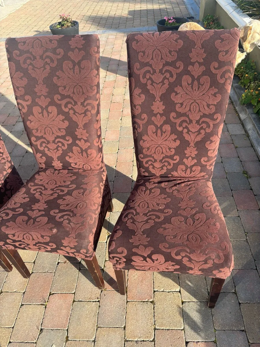 Kitchen chairs - Image 4