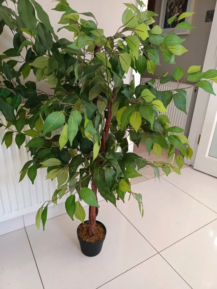 Artificial Floor Plant