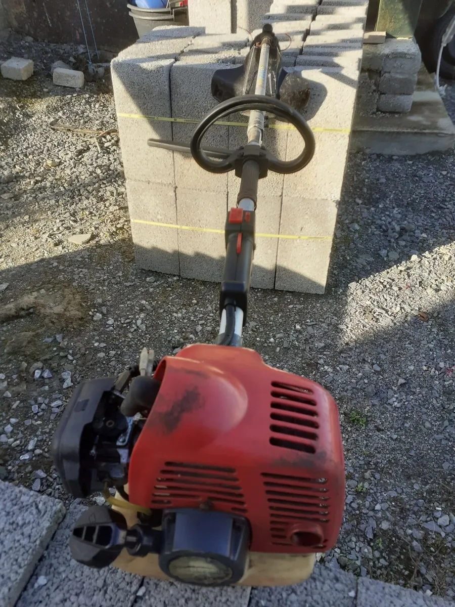 Grass strimmer - Image 1