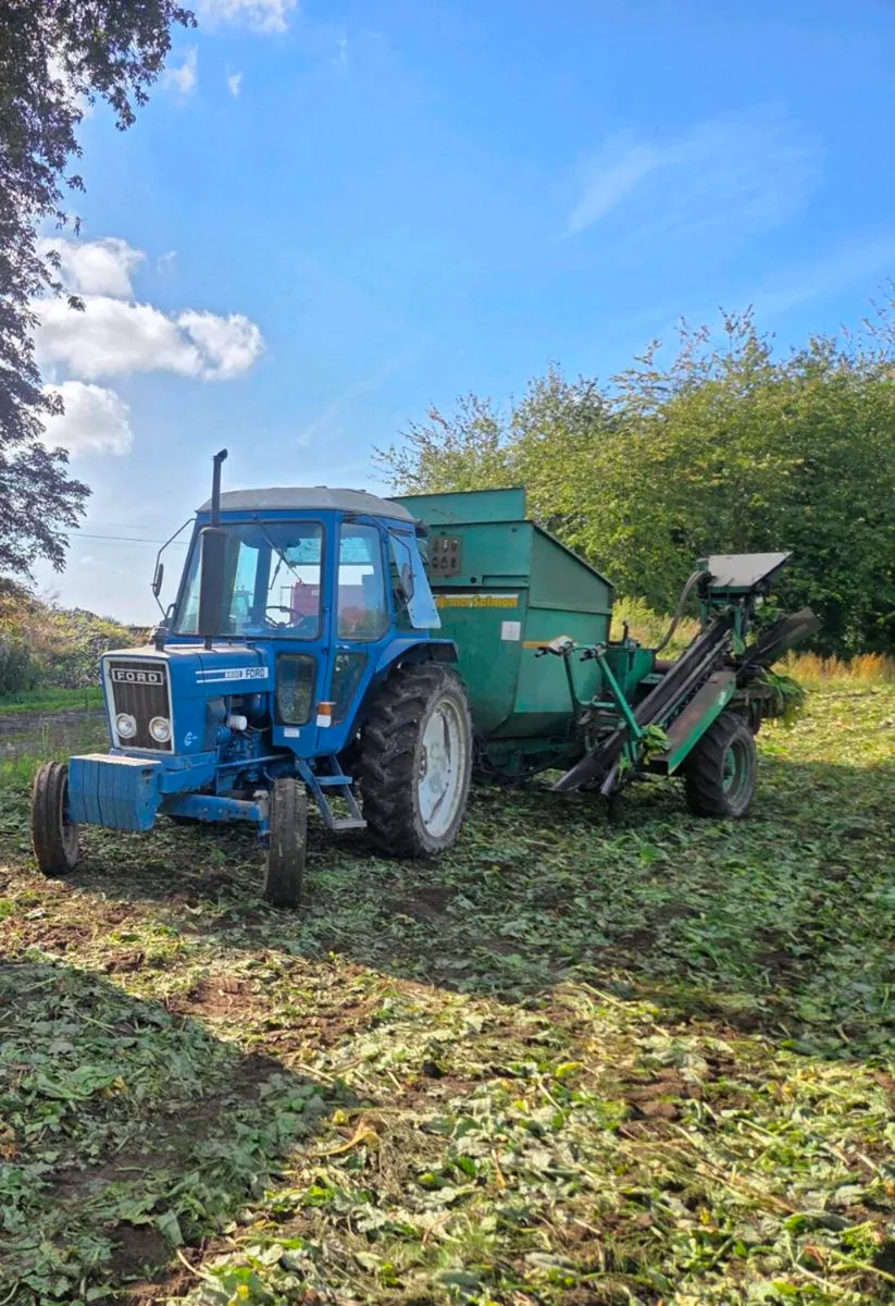 *** Sugar Beet for sale ***