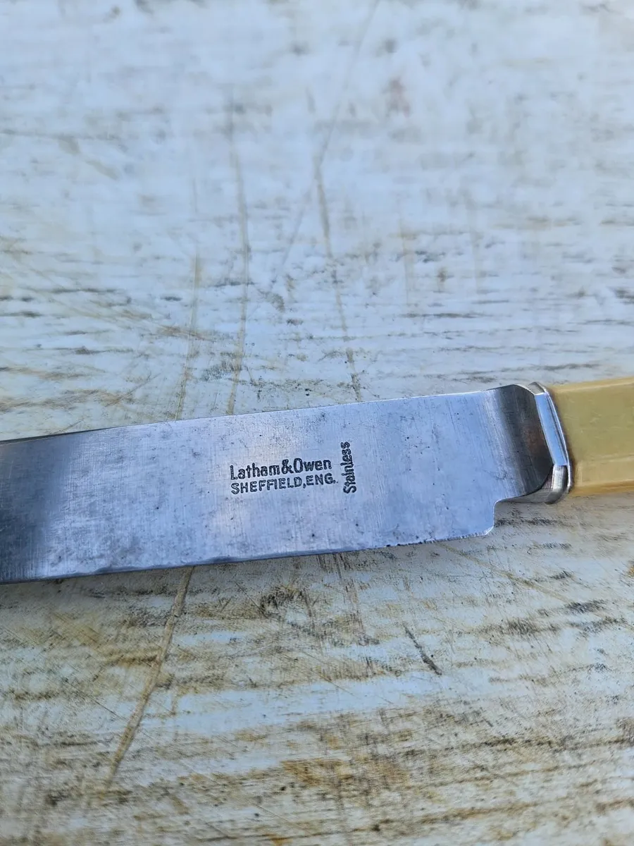 Vintage Retro Sheffield Kitchen Knives - Image 1