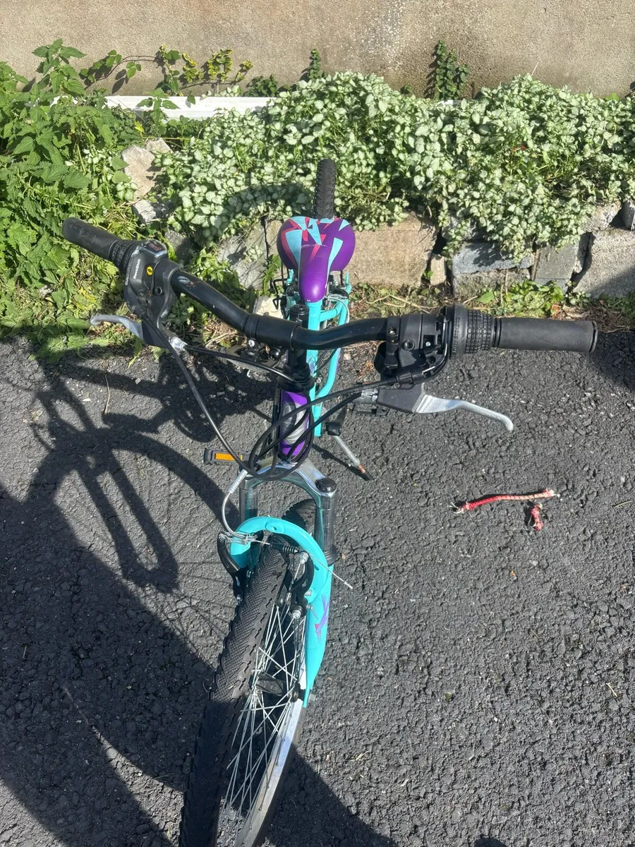 Bike - Image 1