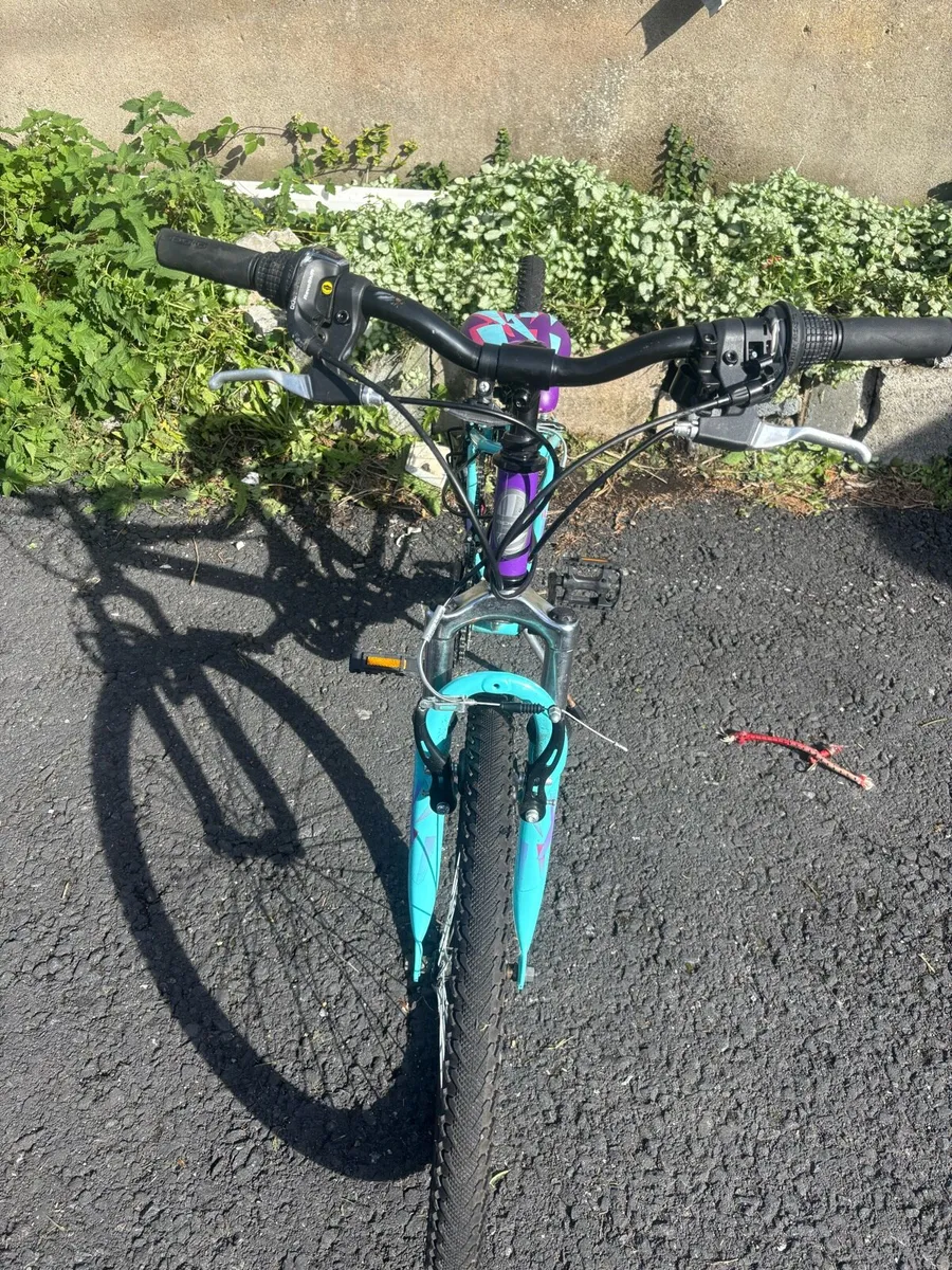 Bike - Image 2