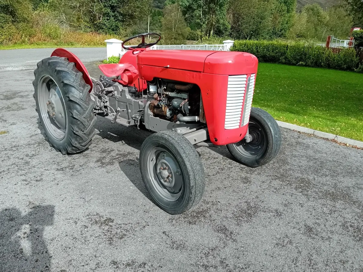 Massey Ferguson 25 S - Image 1