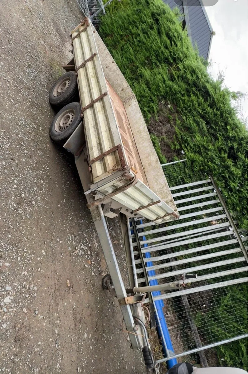 3000kg Heinemann 3 way tipping trailer - Image 1